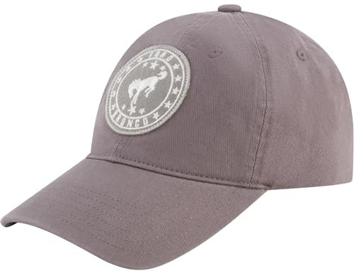 Concept One Unisex-Erwachsene Ford Dad Hut, Bronco Logo Baumwolle, verstellbare gebogener Krempe Baseballkappe, GRAU, Einheitsgre