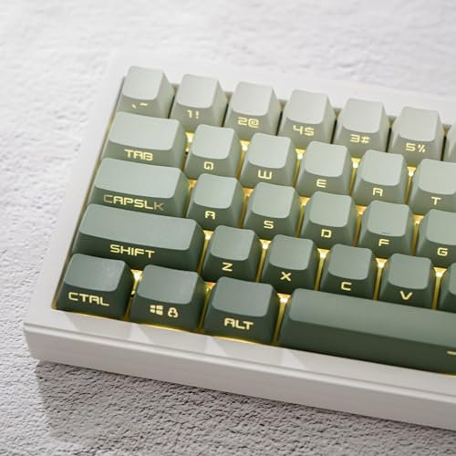 134 Tasten Double Shot PBT Tastenkappen OEM Profil Gradient Green Backlit Keycaps für 60% 65% 95% Cherry Mx Schalter mechanische Tastatur