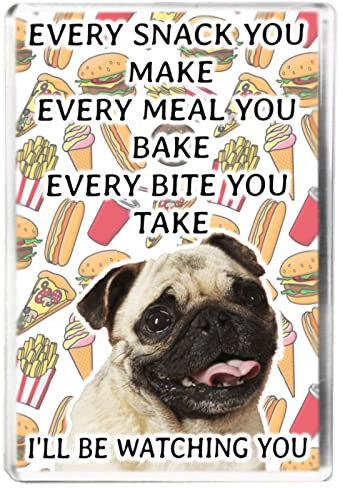 Every Snack You Make - Pug - Funny Pet Owner Quote - Dog Mum/Dad - Fridge Magnet - Novelty Gift