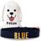 FeLux Hundehalsband personalisiert – mit Name & Telefonnummer – 19mm – für kleine & mittlere Hunde – wasserdicht & robust – Farbe: Schwarz