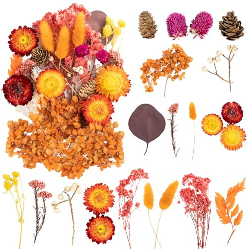 LAUMOE Trockenblume Gelb, Deko Blumen Pampasgras Klein Getrocknete Blumen Trockenblumen Zum Basteln Set Trockenblumen Frühling Bunt für DIY Hochzeitsdeko Wohnkultur