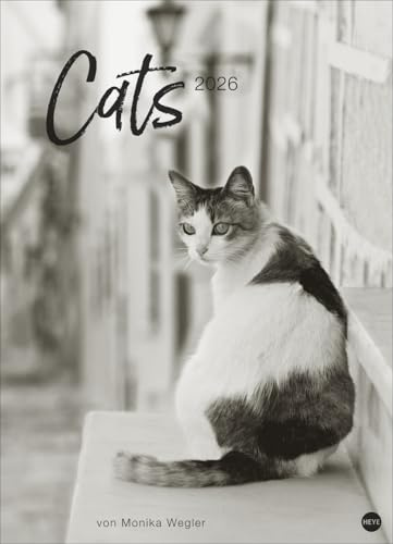 Cats Edition - Posterkalender - Kalender 2026 - Heye-Verlag - Monika Wegler - Wandkalender - 49 cm x 68 cm