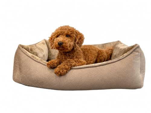 Petlando orthopädisches Hundebett für mittelgroße Hunde, ergonomisch & gelenkschonend, rutschfest, waschbarer Bezug 60°C, Hundekorb, Hundesofa LikeOrtho Lucy mit Wendekissen Braun, M 100x70x25cm