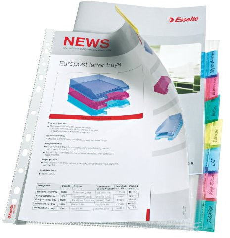 Esselte Register-Prospekthülle, blanko, A4, 8-teilig