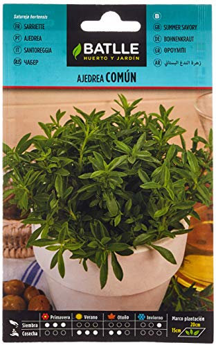 Semillas Batlle Ajedrea común, semillas para plantar