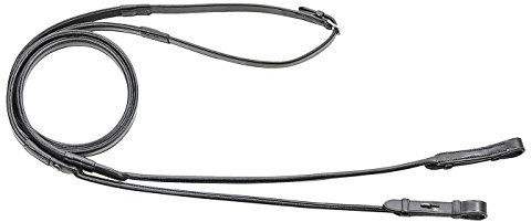 Busse