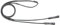 Busse