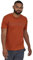 Patagonia Men's Capilene® Cool Merino Graphic Shirt Fitz Roy Fader: Sandhill Rust (XL)
