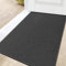 DEXI Fußmatte Innen 80 x 120cm, rutschfest Schmutzfangmatte, waschbar Fussmatte, Dünne Eingangstürmatte, Strapazierfähige Türmatte für Innenbereich, Dunkelgrau