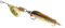 Mepps Spinner aglia cuillère cuillère, leurres pour pêche à la Truite de mer, Poisson Persique, Brochet Saumon Bass Fishing Tackle, Homme bébé Femme, Streamer Gold SZ3, Streamer Gold Size 3