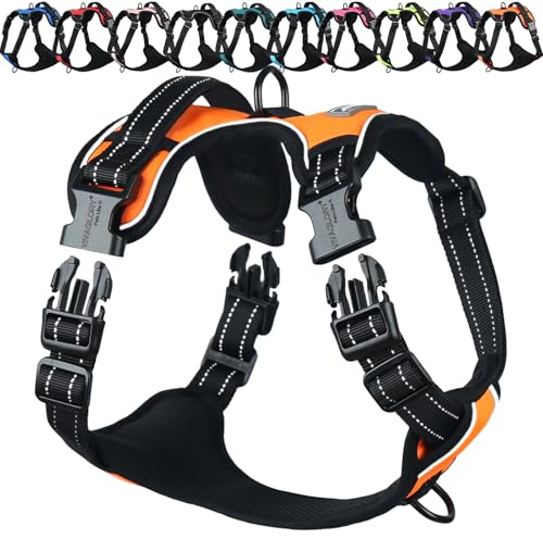 VIVAGLORY Anti Zieh Geschirr für Hunde Hundegeschirr, S, Orange, B | Antizuggeschirr mit Gepolstert Griff & Brustring, Anti Zieh Mitwachsend Ausbruchsicher & Reflektierend für Welpe Hund