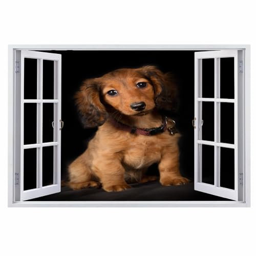 3D Wandtattoos Durchbruch Wandbild Dackel Selbstklebend Kinderzimmer Aufkleber Wandaufkleber Süßer Hund Abnehmbare Wandsticker für Kinderzimmer Wohnzimmer Schlafzimmer Deko