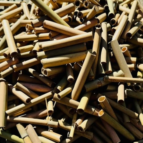 DARLUX 1000 x Bambusröhrchen I Nisthilfe für Wildbienen I Insektenhotel Füllmaterial 6 und 8 mm Ø I 80 mm I Naturbelassen I Bambusstäbe für Insekten Bambus