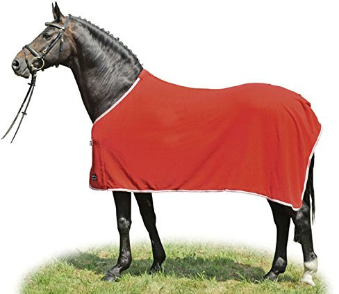 Abschwitzdecke 38115813 Fleece Rug -Alaska-Green/Violet, 155cm