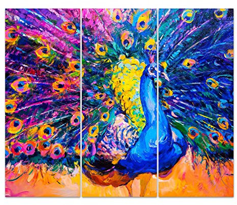 DekoGlas Glasbild 'Bunter Pfau' Echtglas Bild Küche, Wandbild Flur Bilder Wohnzimmer Wanddeko, mehrteilig 3 x 50x125 cm