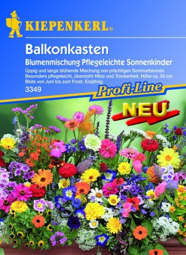 Kiepenkerl Blumenmischung Pflegeleichte Sonnenkinder Samentüte