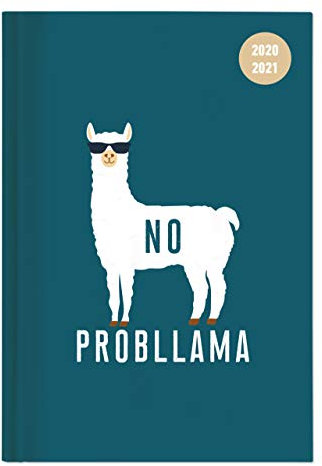 Collegetimer Llama 2020/2021 - Schüler-Kalender A5 (15x21 cm) - Lama - Weekly - 224 Seiten - Terminplaner - Alpha Edition: Schüler-Kalender A5 - Lama (Collegetimer A5 Weekly)