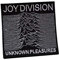 Joy Division, Warschau, Post-Punk, Post Rock, Punk, Heavy Metal, Gothic, Rebellen, Exploited, The Doors, 2 bestickte Aufnäher zum Aufbügeln