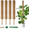 Pflanzen Rankhilfe Monstera Rankhilfe - Erweiterbar Pflanzhilfe Fuer Monstera 4PCS 42cm VerläNgerbar Up To133cm Kokosstab Plant Moosstab Pflanzstab Support Rankhilfe Zimmerpflanzen Plant Support Stick