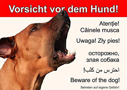 Petsigns Hundeschild - Rhodesian Ridgeback - Achtung Hund Warnschild - uv-beständig, DIN A5