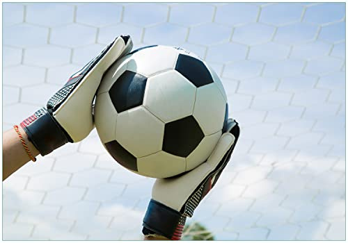 Wallario Vliestapete Fototapete Fußball - Torwart im Tor vor blauem Himmel - Wandtapete Größe: 300 x 210 cm