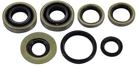 Wellendichtring Satz Motor kompatibel mit Hercules 213 219 221 222 MF 3 4 MP2 3 4 HR1 Lastboy