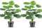 SOMYTING Lot de 2 Plantes artificielles Splitphilo dans Un Pot - Plantes Tropicales artificielles Monstera Real Touch - Feuilles Vertes hawaïennes - Plantes artificielles - Décoration de Bureau