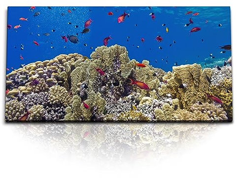 Paul Sinus Kunstdruck Bilder 120x60cm Korallenriff Korallen Unterwasserfotografie Blau Fische