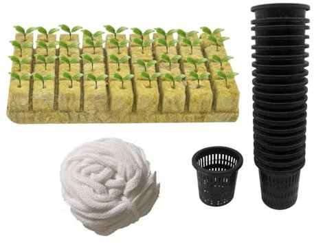 GSJNHY Steinwolle Anzuchtmatte 1 Set Soilless Mesh Net Korb Pflanze Blume Obst Gemüse Wachsen Kindergarten Topf Garten Hydrokultur Aquaponic Wachsen
