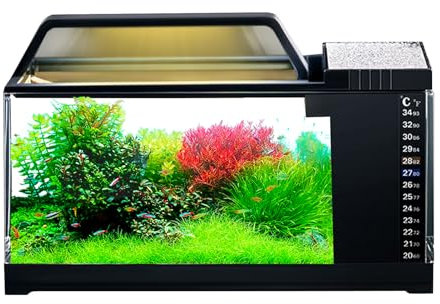 Nano Acquario In Vetro Per Pesci Acqua - 30x13x18,5 Cm Serbatoi Di Pesce Con Filtro Luminoso A LED | Kit Della Temperatura Di Filtrazione Intelligente Per Jellyfish Di Gamberi Betta Gamby, De