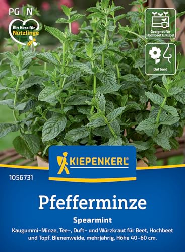 Kiepenkerl Pfefferminzsamen Spearmint 1056731, Kräutersaat | Duft- und Würzkraut, circa 40-60 cm, aromatisch, mehrjährig, für Beet, Hochbeet & Freiland