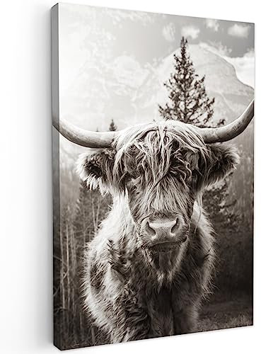 MuchoWow© Leinwand Klein 20x30 cm Mini Deko Schlafzimmer Aesthetic Leinwandbilder Wohnzimmer Gemälde Foto Geschenk Living Room Decoration Schottisches Hochlandrind - Kuh Bild - Tiere - Schwarz und Wei