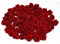 Rosen 15 mm x 100 Stück Satinrosen Aufnäher Deko Blumen Röschen zum Basteln Haarschmuck kleine Rosenköpfe Farbe: rot 250