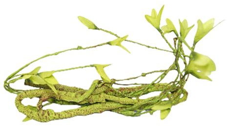 Gefälschte Pflanzen für Reptilien - Flexible künstliche Reben für Terrarien, Schlangen- und -Panzerdekor | Realistische Plastikkletterpflanzen für Echsenanreicherung, Vivarium Hides, Dschung