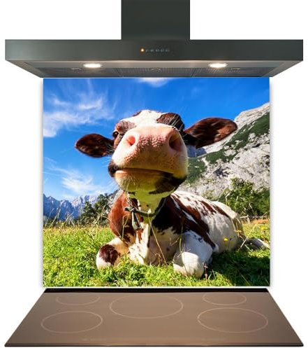 Printed Toughened Glass Splashback for Kitchen, Tempered Heat Resistant Glass Splashbacks for Cookers (Design 2019, 60 x 70cm)