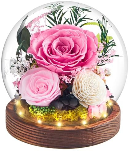 Konservierte Ewige Rose im Glas mit Licht, Rosa Blumen in Glaskuppel als Geschenk für Mama, Frauen, Oma, Freundin zum Muttertag, Geburtstagsgeschenk, Valentinstag, Hochzeitsdekoration, Dauerblume