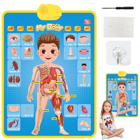 Tavola Apprendimento Alfabeto | Elettronico Interattivo Con Voce | Poster Parlante Interattivo Per Bambine 2-4 Anni Regalo Natale