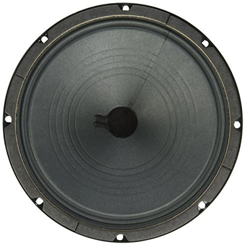 Jensen Altavoz, Verde, 10 Pulgadas (P10R4)