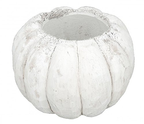 NaDeco Kokos Topf Ø 15-17cm Weiße Deko Kokosnuss Kokosschale weiß Weiße Kokosnussschale Kokos Blumentopf Kokosbecher