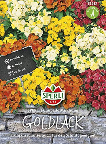 Sperli 85485 Goldlack Chupado Mischung (Blumenmischung)