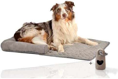 Rohrschneider Weiches Couchkissen für Hund | Hundebett als Sofaschutz | gemütliches Hundedecke für Sofa mit Rand | Möbelschutz Kofferraumschutz Hund | Hundeliege für Sofa und Couch