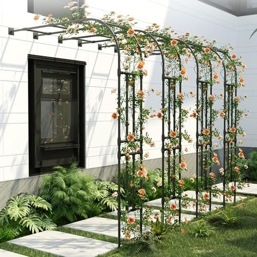 Demi-Arche À Rosiers pour Plantes Grimpantes en Métal - Pergola pour Intérieur Extérieur Pelouse de Jardin - Assemblage Facile - Tuteur Colonne (Noir, 220W x H240cm)