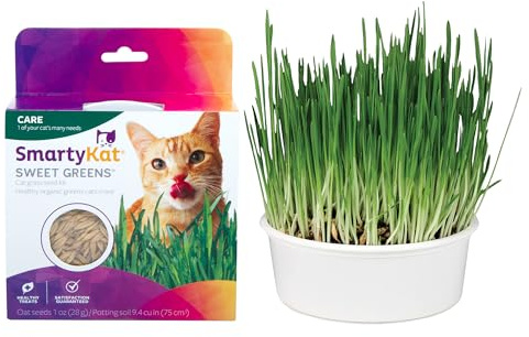 SmartyKat Sweet Greens Organic Oat Grass All-in-One Cat Grass Grow Kit, Easy-to-Grow to Support Digestion & Hairball Reduction