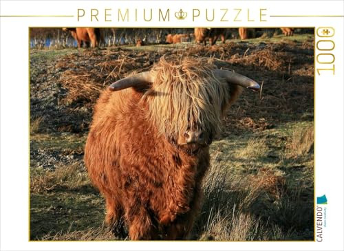 CALVENDO Puzzle Schottisches Hochland Rind | 1000 Teile Lege-Größe 64 x 48 cm Foto-Puzzle für glückliche Stunden