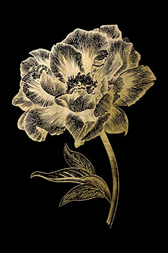 Queence | Acrylglasbild mit Blattgold | Wandbild Glasbild Acrylbild Rahmenlos | Blumen | Druck auf Acrylglas | Goldveredelung | Größe: 40x60 cm