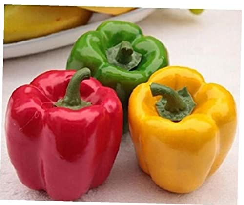 Haowul 3pcs Künstliche Paprika Zur Dekoration Für Lebensechte Simulation Heißer Chili Super Realistisch Gefälschte Gemüse Rot Gelbgrüne Pfeffer Für Heimküchen Restaurant Dekor Foto Requisiten