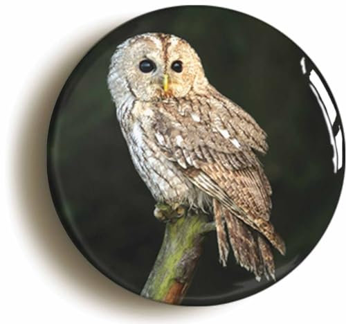 Tawny Owl Fridge Magnet (Circular 2inch / 50mm Diameter)