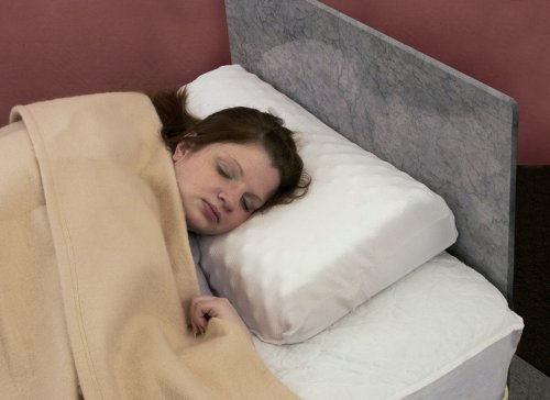 Harley Rest-Ease Pillow [Electronics]