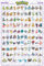 Pokemon - Sinnoh Pokemon deutsch - Anime Spiel Poster - Größe 61x91,5 cm