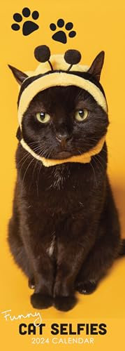 2024 Katze Selfies Slim Hängender Wandkalender Kein Plastik Lustig Humorvoll Kätzchen Planer Organizer Home Familie Zeitplan Agenda Geschenk